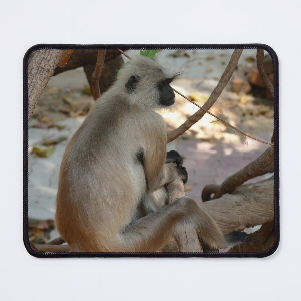 Item preview, Grey Langur - Take a Rest designed and sold by Birgit Moldenhauer.
