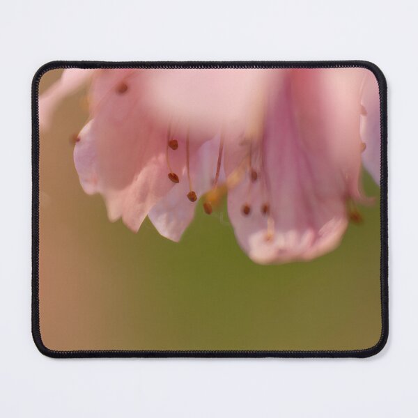 Item preview, Soft Pink Blossoms – Minimal Spring Flowers designed and sold by Flavio Oliveira Fine Art.