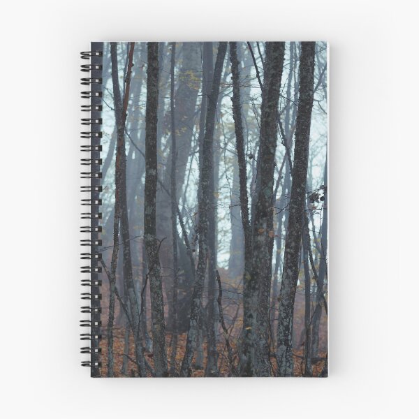 Item preview, Mystical Foggy Forest with Autumn Foliage designed and sold by LRPhotoart.