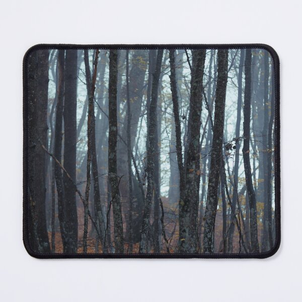 Item preview, Mystical Foggy Forest with Autumn Foliage designed and sold by LRPhotoart.