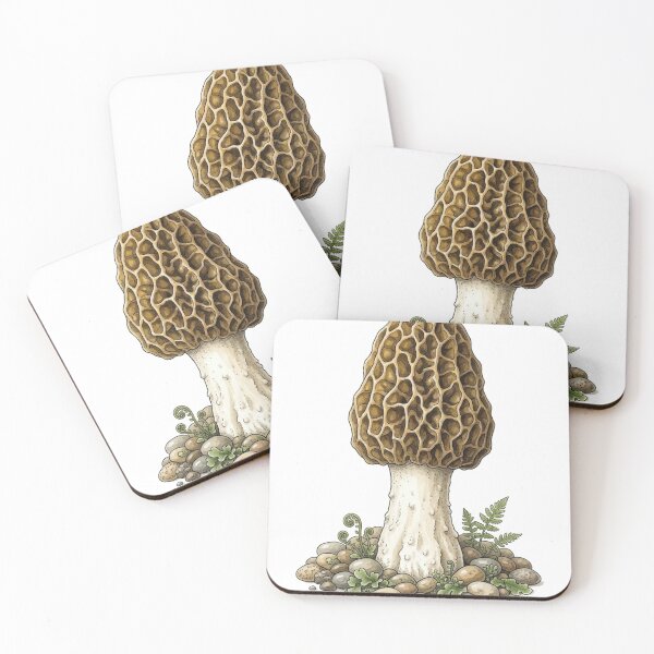 Item preview, Morel Mushroom designed and sold by Chaoscience.