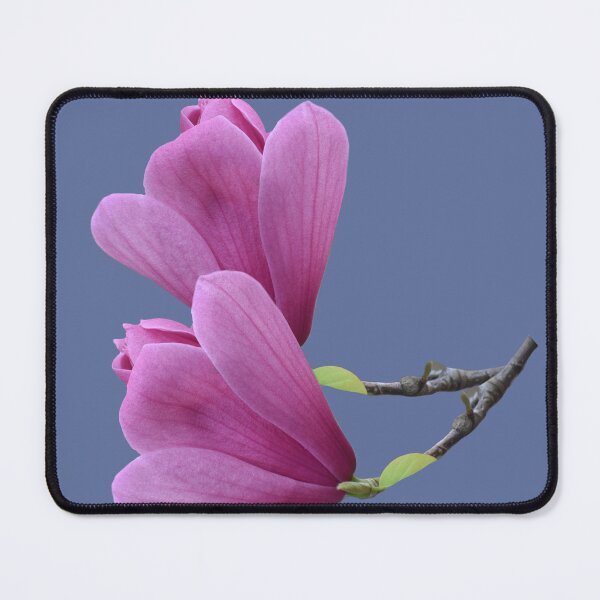 Item preview, Spring Pink Magnolia designed and sold by StylishDecor.