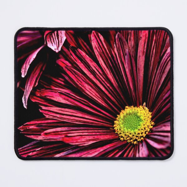 Item preview, Purple Chrysanthemum designed and sold by Vanja Rosenthal.