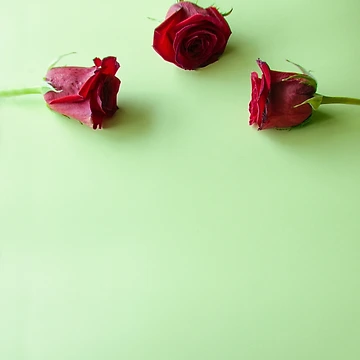Artwork thumbnail, Three Red Roses by RubyDelAngel