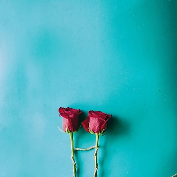 Artwork thumbnail, Two Roses Bound Together by RubyDelAngel