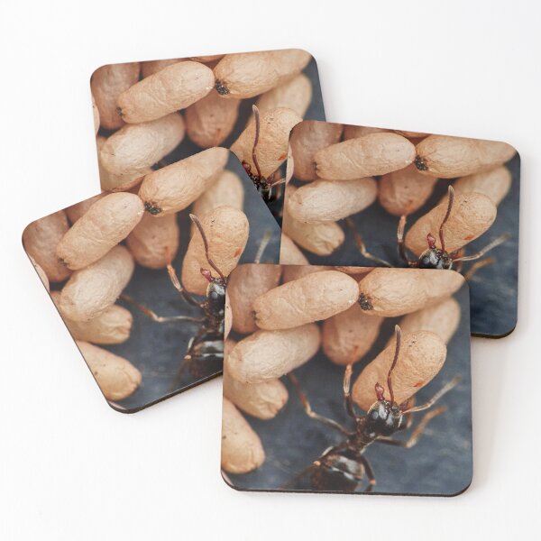 Item preview, Ant On A Mission designed and sold by Eidetic Photos.