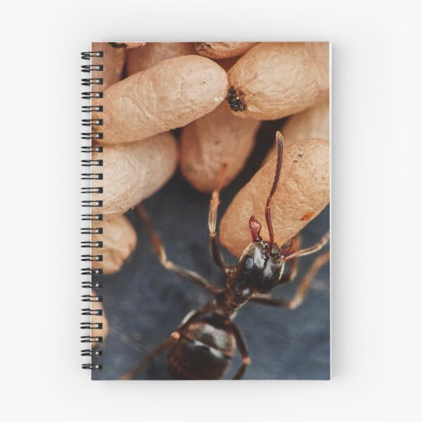 Item preview, Ant On A Mission designed and sold by Eidetic Photos.