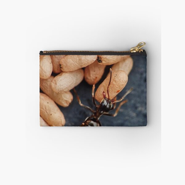 Item preview, Ant On A Mission designed and sold by Eidetic Photos.