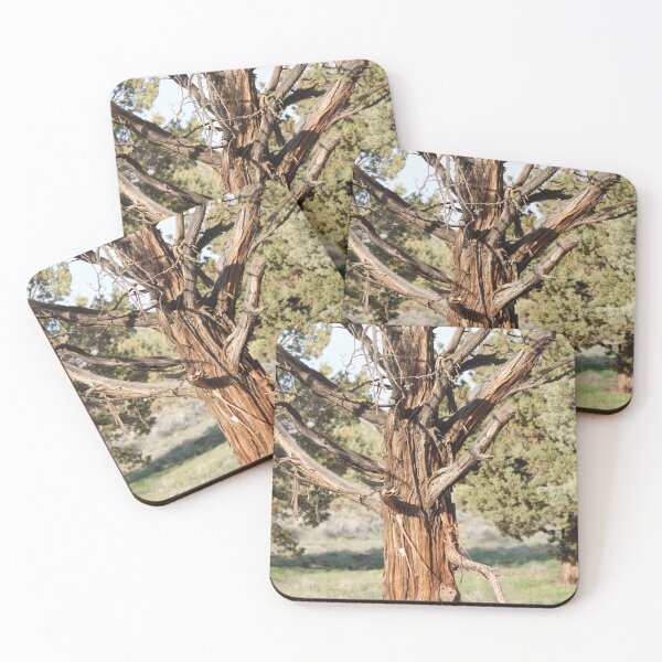 Item preview, Stripped Tree designed and sold by Naturally.Art.