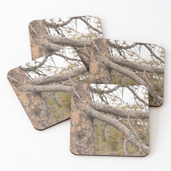 Item preview, Tree Limbs Reaching out designed and sold by Naturally.Art.