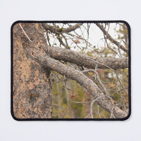 Item preview, Tree Limbs Reaching out designed and sold by Naturally.Art.