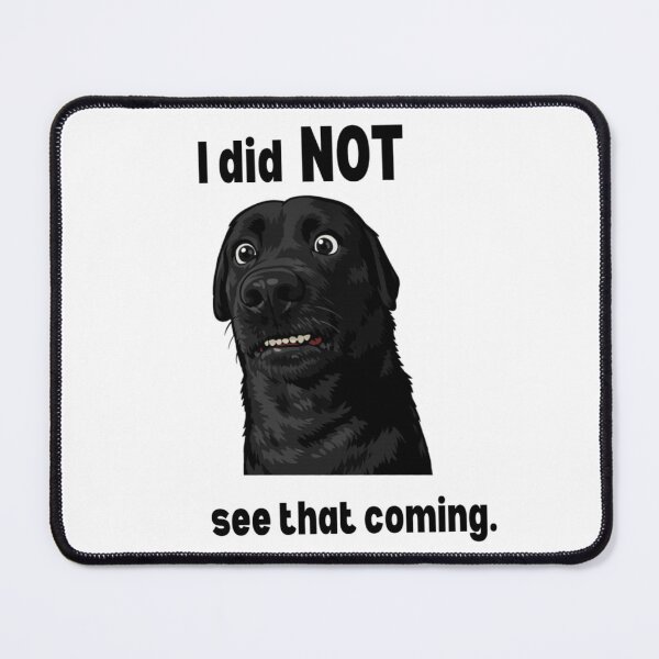 Item preview, I Did Not See That Coming – Funny Shocked Dog Sticker designed and sold by JolaDesignss.
