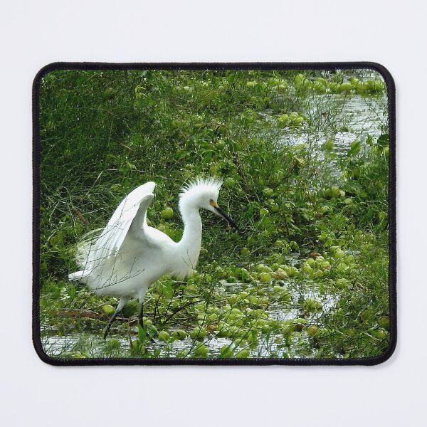 Item preview, Fancy Dance Egret designed and sold by MoodyMuseArt.