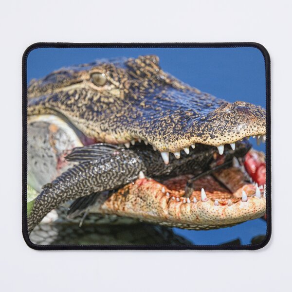 Item preview, Yummy Yummy  designed and sold by Glennphotos.