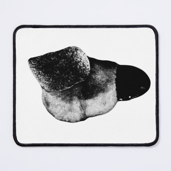 Item preview, the bear hamachi blood orange designed and sold by lila chopp.