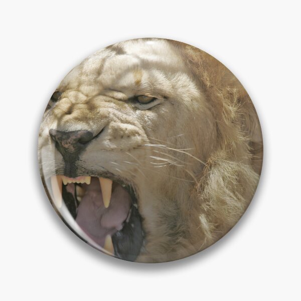 Item preview, Roaring African Lion Close-Up designed and sold by SG Savannah Lens.