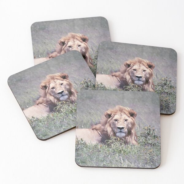 Item preview, African Lion Staring from the Savannah designed and sold by SG Savannah Lens.