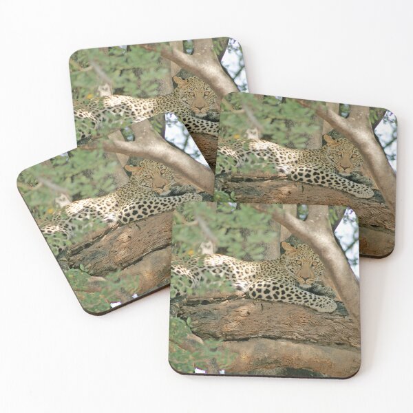 Item preview, African Leopard Resting in Tree designed and sold by SG Savannah Lens.