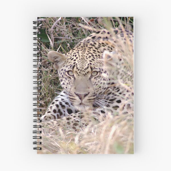 Item preview, African Leopard hidden in Trail Grass designed and sold by SG Savannah Lens.