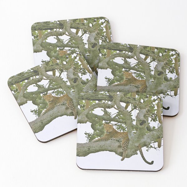 Item preview, African Leopard Resting in Tree designed and sold by SG Savannah Lens.