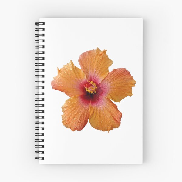 Item preview, Warm hibiscus designed and sold by Kiraguapa.