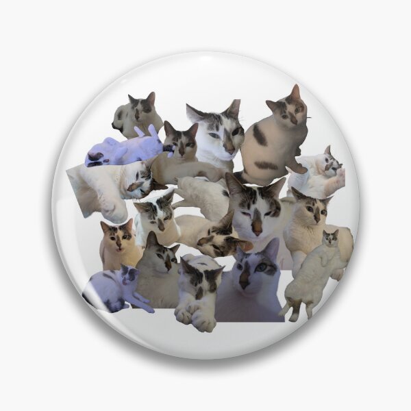 Item preview, cat with many toes collage designed and sold by meggyeggymoo.