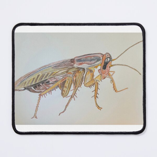 Item preview, Grasshopper designed and sold by pinkyjainpan.