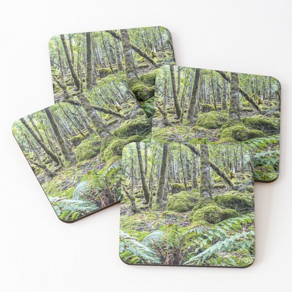Item preview, Green fern forest designed and sold by Nightscapes.
