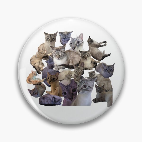 Item preview, the cat is Togepi yes he is designed and sold by meggyeggymoo.