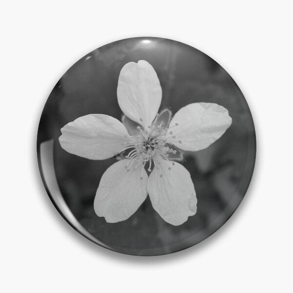 Item preview, White Wildberry Blossom in Black and White designed and sold by Blossom-Breeze.