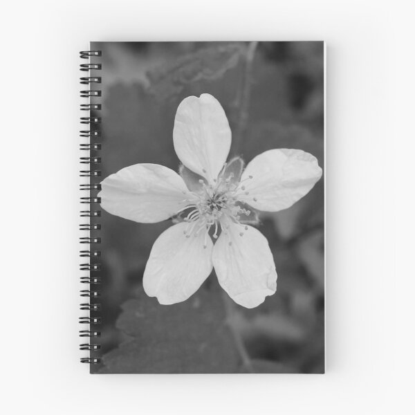 Item preview, White Wildberry Blossom in Black and White designed and sold by Blossom-Breeze.