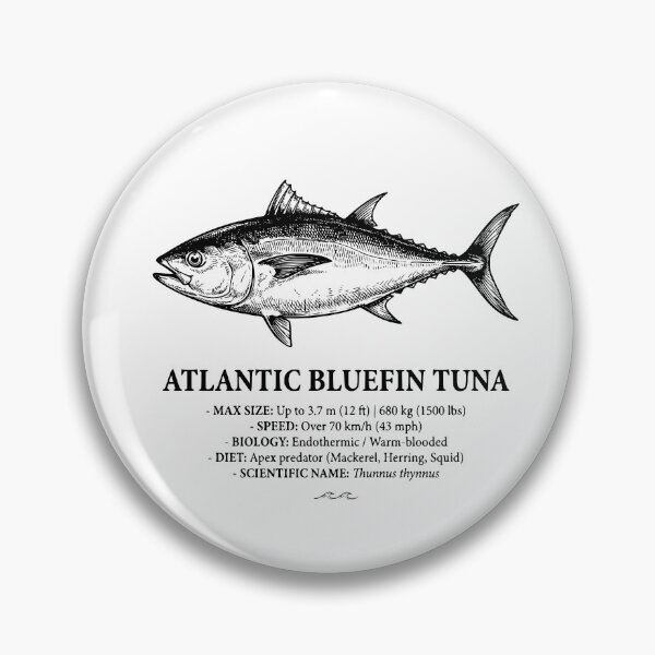 Item preview, Atlantic Bluefin Tuna Scientific Illustration Vintage Fish designed and sold by MotionBanana Art.