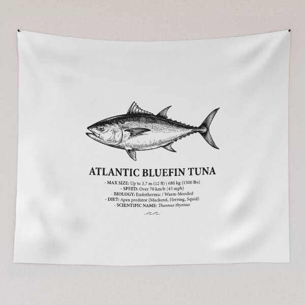 Item preview, Atlantic Bluefin Tuna Scientific Illustration Vintage Fish designed and sold by MotionBanana Art.