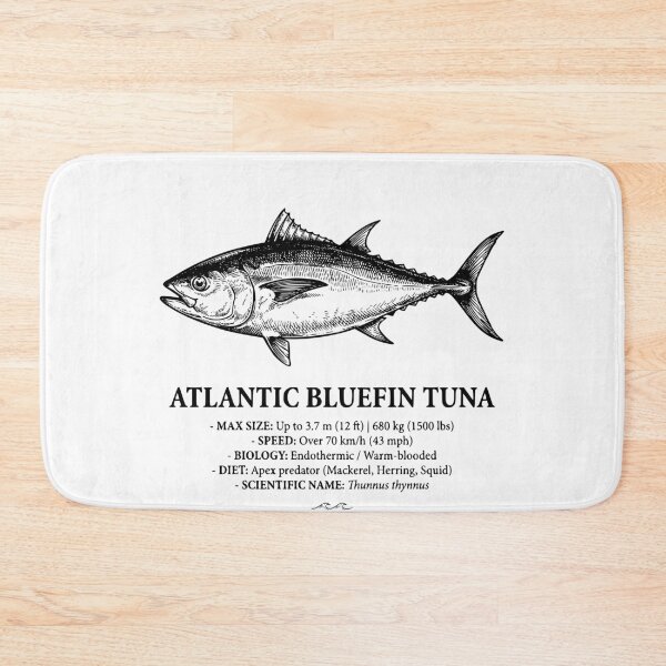 Item preview, Atlantic Bluefin Tuna Scientific Illustration Vintage Fish designed and sold by MotionBanana Art.