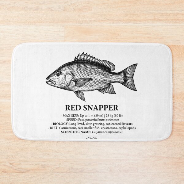 Item preview, Red Snapper Scientific Illustration Vintage Marine Biology designed and sold by MotionBanana Art.