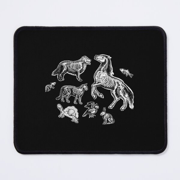 Item preview, Vet Tech X Ray Animal Skeletons designed and sold by jlfwvbel41.