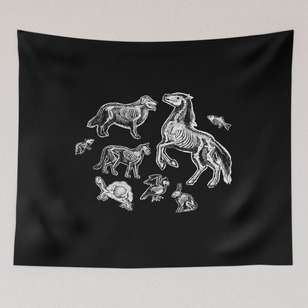 Item preview, Vet Tech X Ray Animal Skeletons designed and sold by jlfwvbel41.