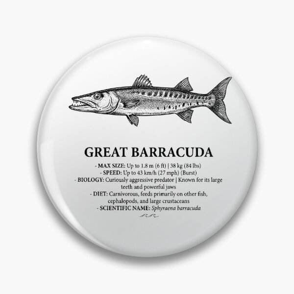 Item preview, Great Barracuda Vintage Scientific Marine Illustration designed and sold by MotionBanana Art.
