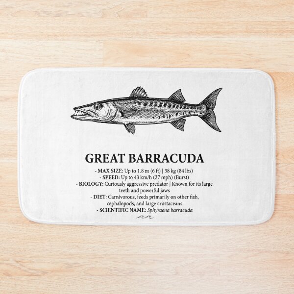 Item preview, Great Barracuda Vintage Scientific Marine Illustration designed and sold by MotionBanana Art.