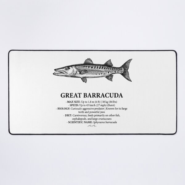 Item preview, Great Barracuda Vintage Scientific Marine Illustration designed and sold by MotionBanana Art.