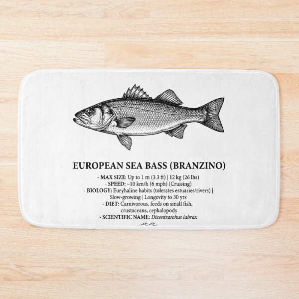Item preview, European Sea Bass Branzino Vintage Fish Illustration designed and sold by MotionBanana Art.