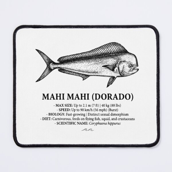 Artikelvorschau, Mahi Mahi Dorado Retro Fisch Infografik entworfen und verkauft von MotionBanana Art.