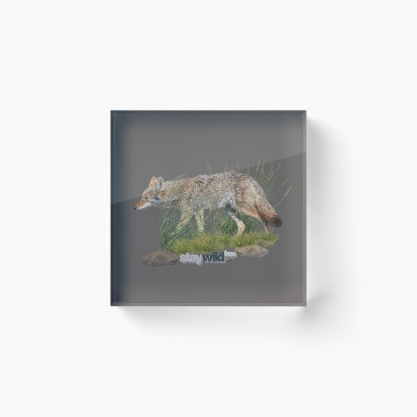 Item preview, Wild Coyote on the Prowl designed and sold by Wild DeZigns .