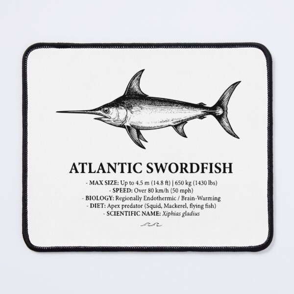 Item preview, Atlantic Swordfish Scientific Illustration Vintage Print designed and sold by MotionBanana Art.