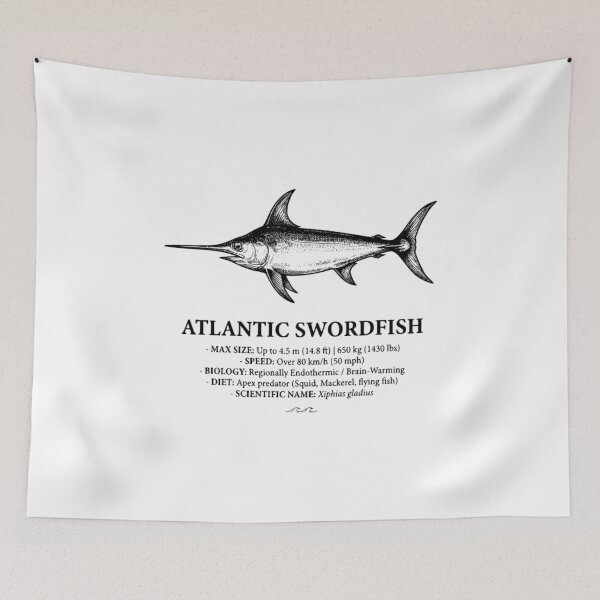 Item preview, Atlantic Swordfish Scientific Illustration Vintage Print designed and sold by MotionBanana Art.