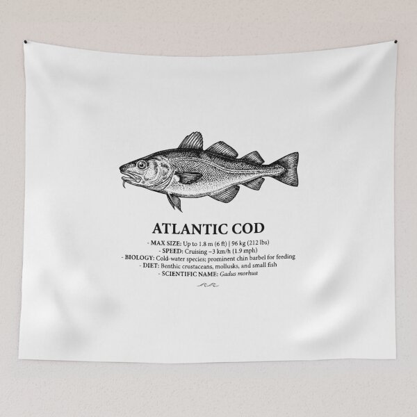 Item preview, Atlantic Cod Vintage Marine Biology Scientific Print designed and sold by MotionBanana Art.