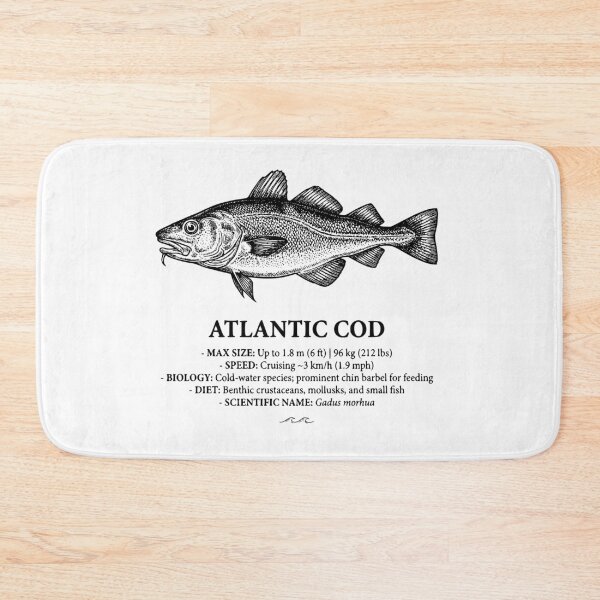 Item preview, Atlantic Cod Vintage Marine Biology Scientific Print designed and sold by MotionBanana Art.