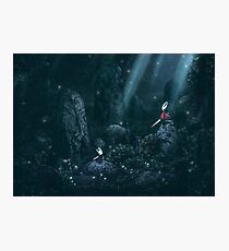 Hornet Fight (25 Left!!) Photographic Print