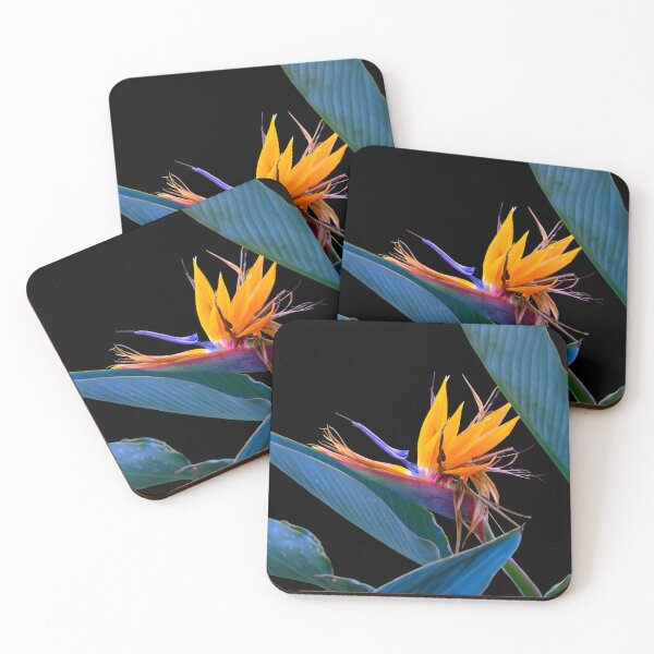 Item preview, Bird of Paradise Flower designed and sold by travelwitheric.