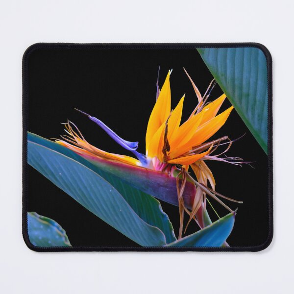 Item preview, Bird of Paradise Flower designed and sold by travelwitheric.